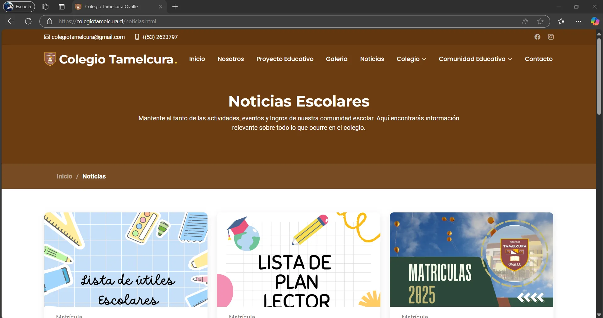 Captura 2 del proyecto Colegio Tamelcura